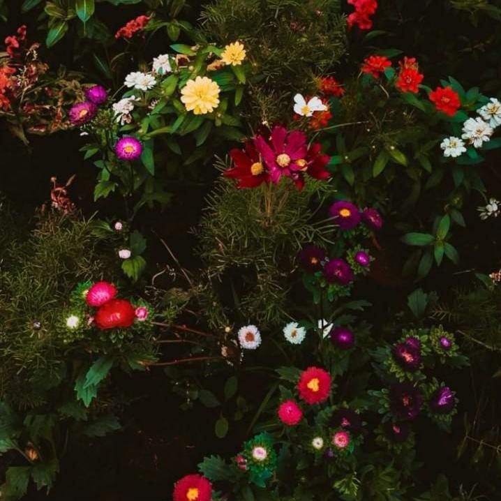 آهنگ جدید بوی بودنت چه خوب مونده رو تنم اینستایی